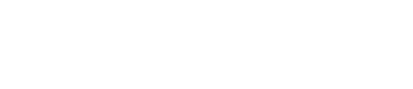 Villela Brasil Bank logo